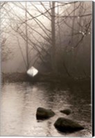 Framed Silvered Morning Pond