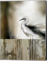Framed Sea Mist & the Egret