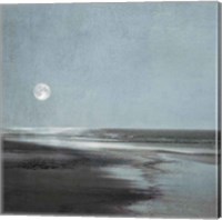 Framed Moonlit Beach