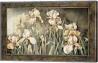 Framed Field of Irises