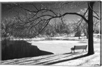 Framed Heritage Pond In Winter