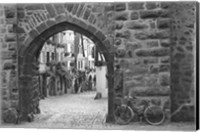 Framed Bicycle of Riquewihr