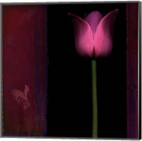 Framed Red Tulip I