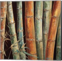 Framed Caribbean Bamboo I