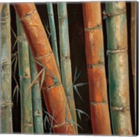 Framed Caribbean Bamboo II