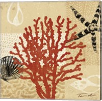 Framed 'Coral Impressions III' border=