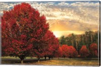 Framed Crimson Trees