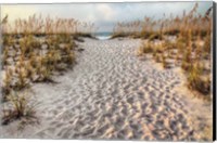 Framed Path To The Beach