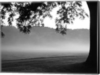 Framed Fog in the Park I