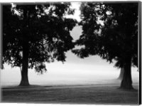 Framed Fog in the Park II