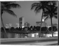 Framed Night View Skyline With Palm Trees Miami Florida