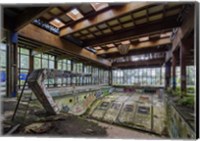 Framed Abandoned Resort Pool, Upstate NY