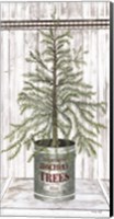 Framed Galvanized Pot Pine