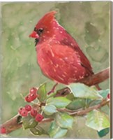 Framed Cardinal 2