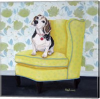 Framed Beagle on Yellow