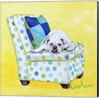 Framed 'Bulldog on Polka Dots' border=