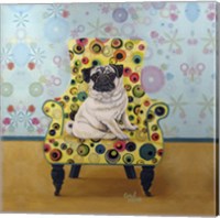 Framed Pug-a-dots