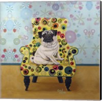 Framed 'Pug-a-dots' border=