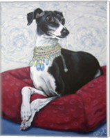 Framed Italian Greyhound on Red