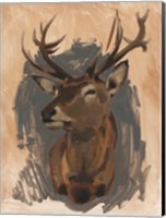 Framed Red Deer Stag II