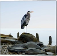 Framed Beachscape Heron I