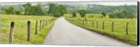 Framed Country Road Panorama I