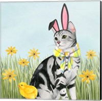 Framed Easter Cats III