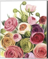 Framed 'Ranunculus Study I' border=