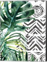 Framed Palm Pattern II