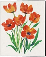 Framed 'Red Tulips in Bloom II' border=