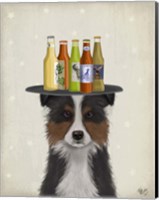 Framed Border Collie Tricolour Beer Lover