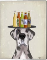 Framed Great Dane Harlequin Beer Lover