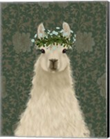 Framed Llama Bohemian 1