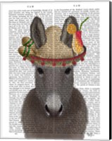 Framed Donkey Sombrero Book Print