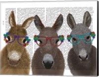 Framed Donkey Trio Flower Glasses Book Print