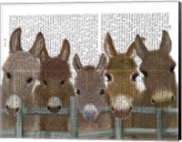 Framed Donkey Herd at Fence Book Print