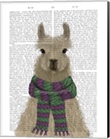 Framed Llama with Purple Scarf, Portrait Book Print