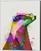 Framed Badger Rainbow Splash 2