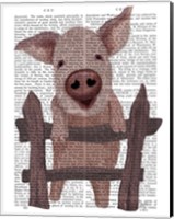 Framed Pig On Fence Book Print