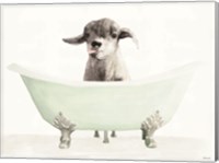 Framed Vintage Tub with Goat