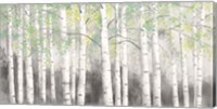 Framed Soft Birches Charcoal