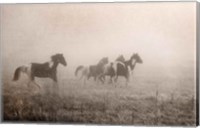 Framed Paint Horses on the Run