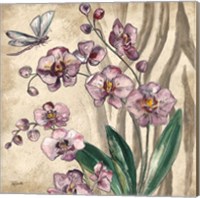 Framed 'Boho Orchid & Dragonfly II' border=