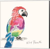 Framed Preston the Parrot