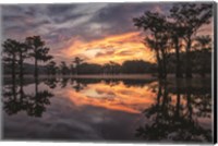 Framed Sunrise in the Swamps