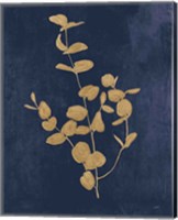 Framed Botanical Study II Gold Navy