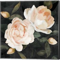 Framed Soft Garden Roses II