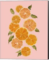 Framed 'Spring Citrus I' border=