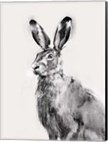 Framed Wild Hare I
