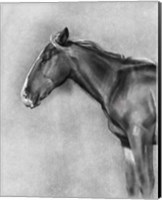 Framed 'Charcoal Equine Portrait II' border=